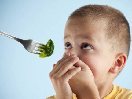 Cover: 5 tips untuk mengatasi anak susah makan